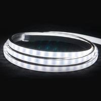 American Lighting 30' 3 watt (per foot) 120 volt 5000K Daylight LED Tape Rope